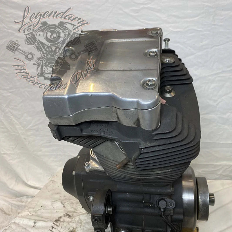 Moteur Dyna 1584 (96 ci) OEM 19863-11