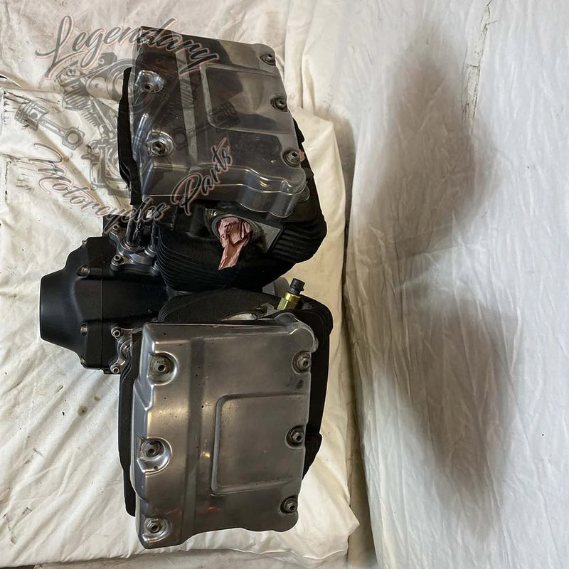 Moteur Dyna 1584 (96 ci) OEM 19863-11