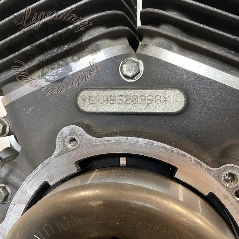 Moteur Dyna 1584 (96 ci) OEM 19863-11