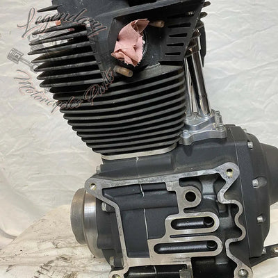 Moteur Dyna 1584 (96 ci) OEM 19863-11