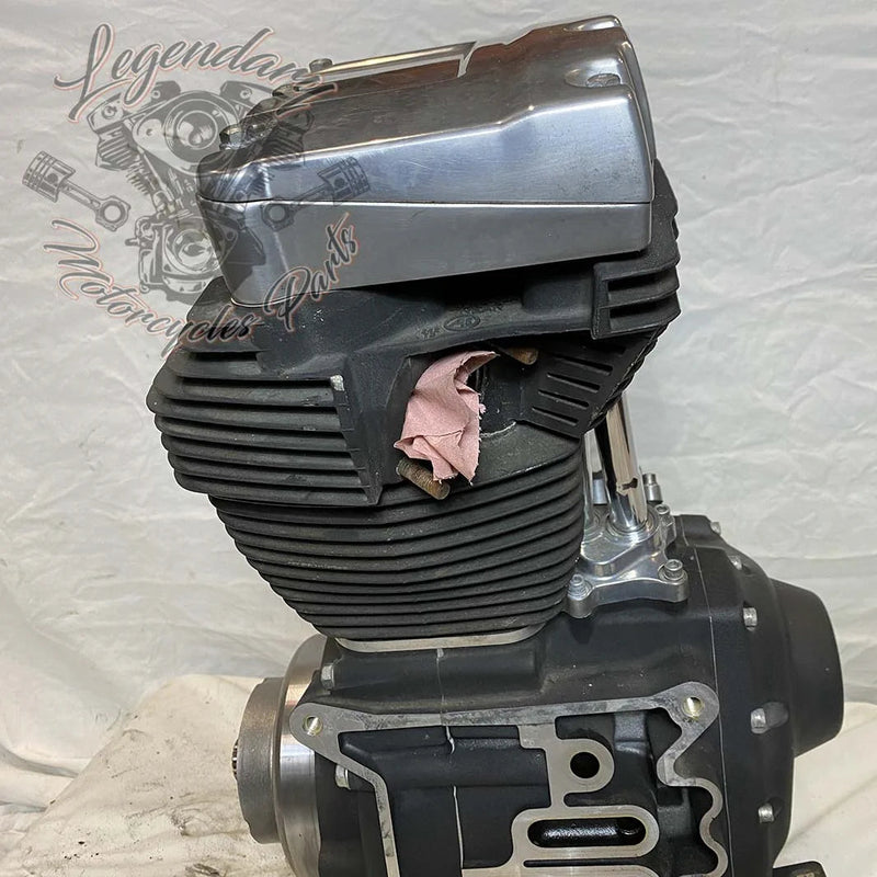 Moteur Dyna 1584 (96 ci) OEM 19863-11