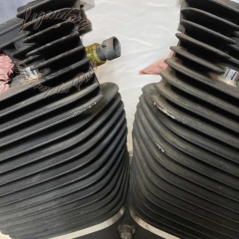 Moteur Dyna 1584 (96 ci) OEM 19863-11