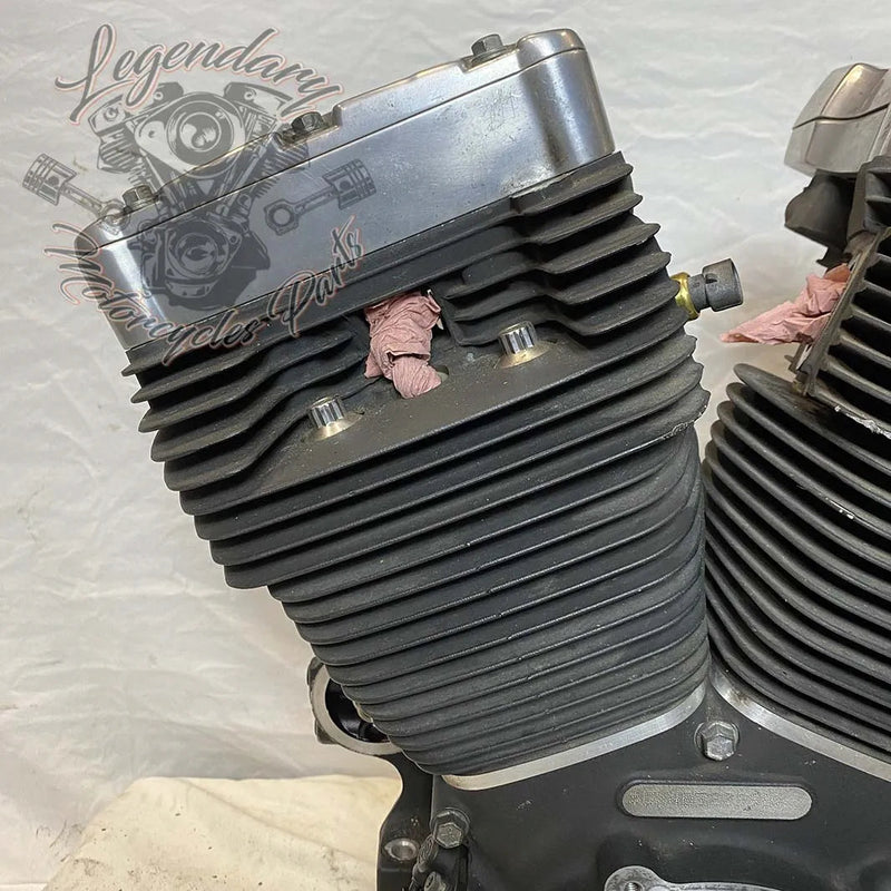 Moteur Dyna 1584 (96 ci) OEM 19863-11