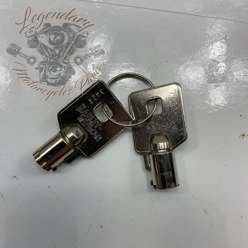 Tour-Pak Schloss OEM 53194-07