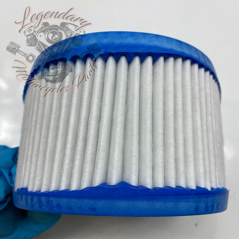 Élément filtrant OEM P0213.02A8