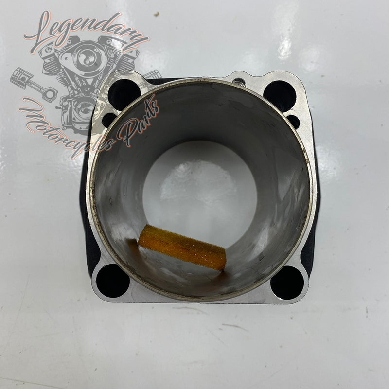 Cylinder OEM 16871-99Y