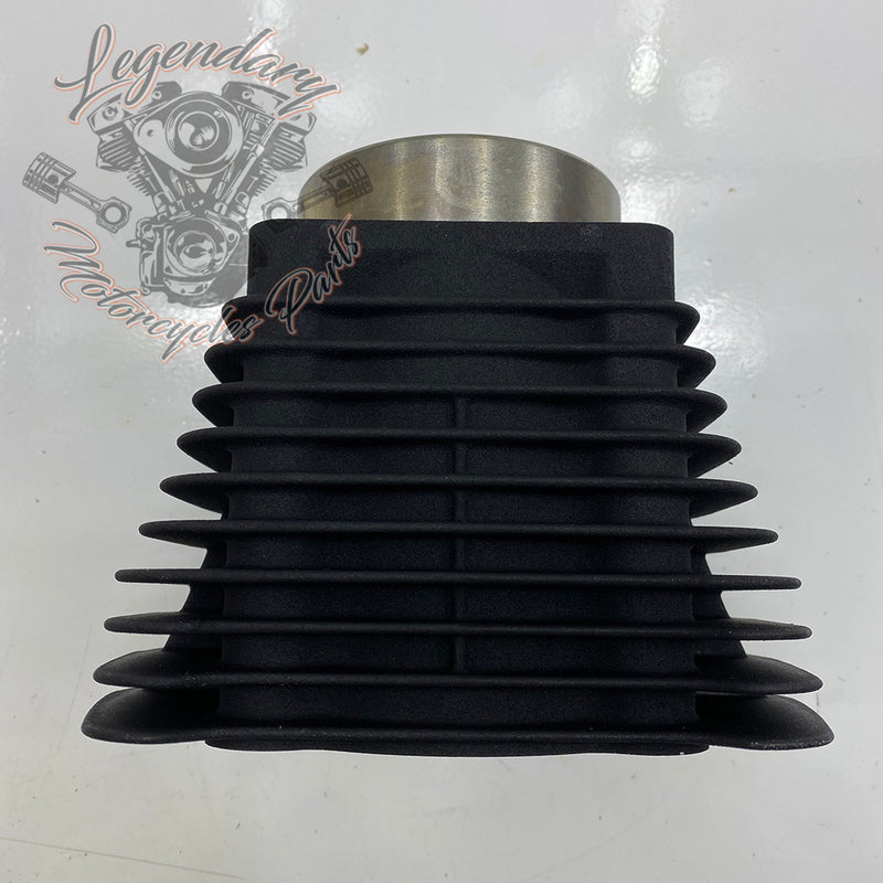 Cylinder OEM 16871-99Y