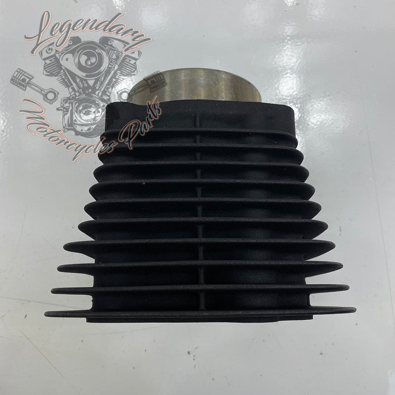 Cylinder OEM 16871-99Y