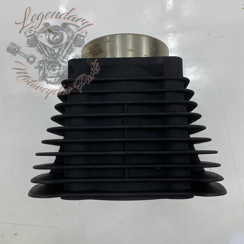 Cylinder OEM 16871-99Y