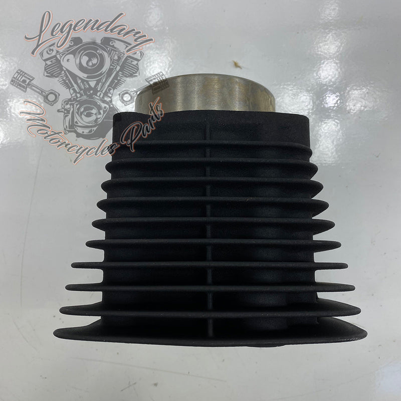 Cylinder OEM 16871-99Y