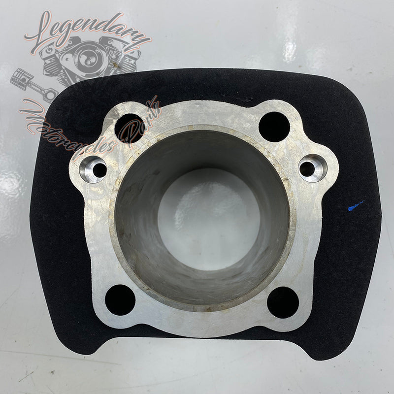 Cylinder OEM 16871-99Y