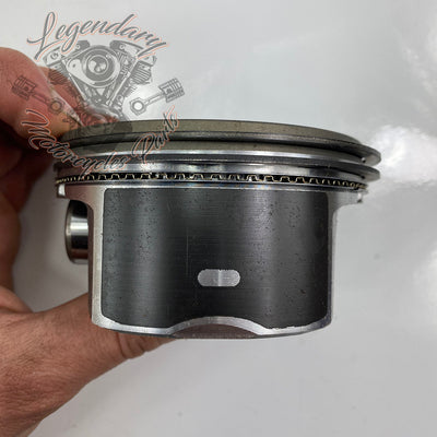 Pistons OEM 21989-07