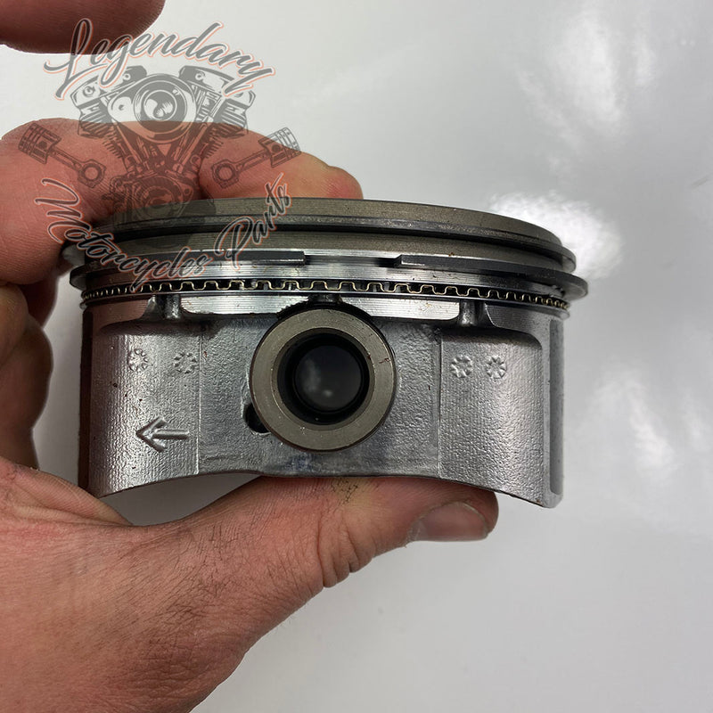 Pistons OEM 21989-07