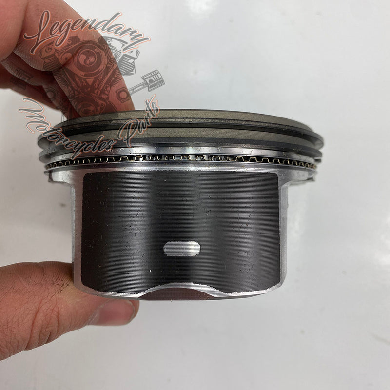 Pistons OEM 21989-07