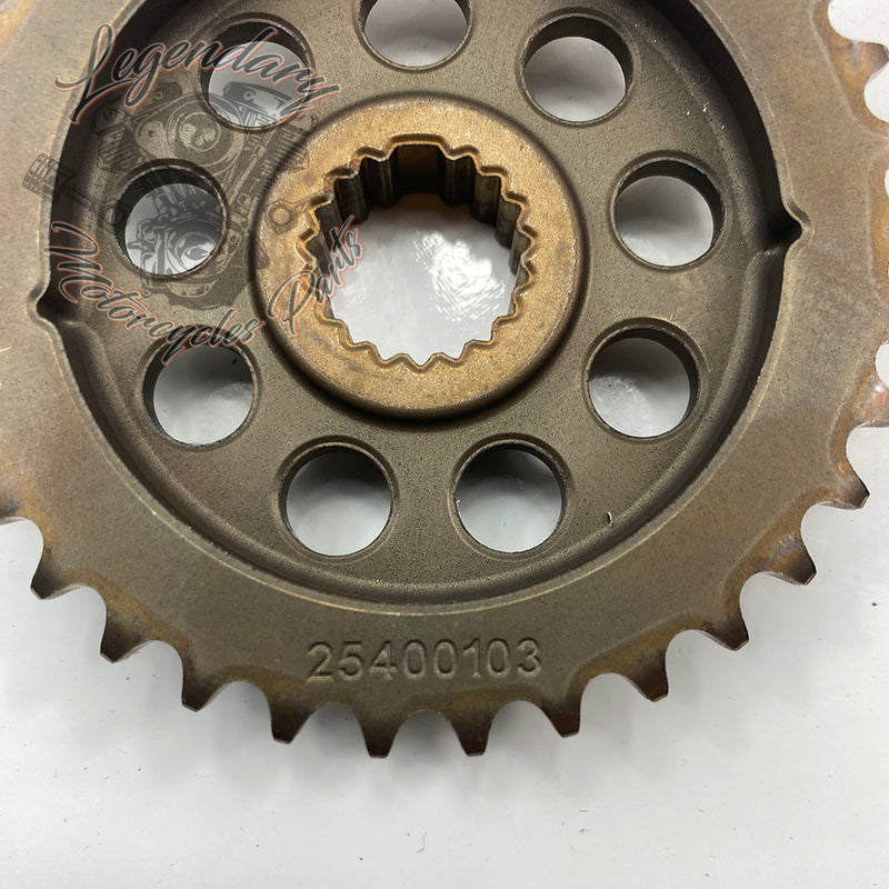 Timing Belt OEM 25400103