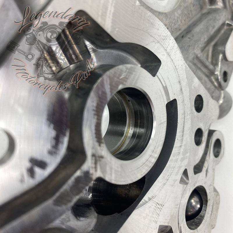 Camshaft Support Plate OEM 25400131 (25400133)