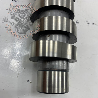 Camshaft OEM 25400190