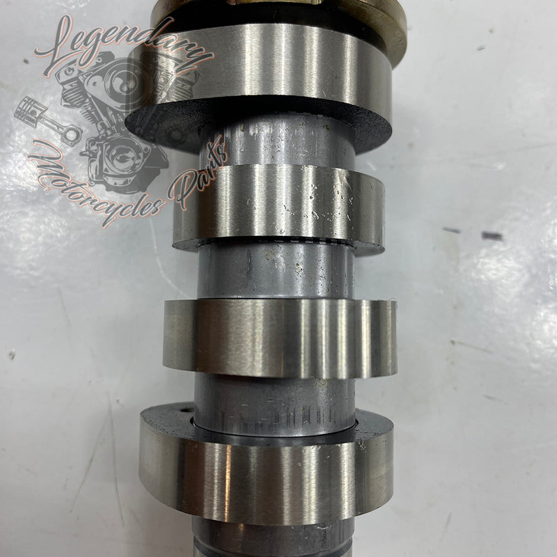 Camshaft OEM 25400190