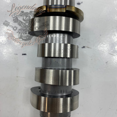 Camshaft OEM 25400190