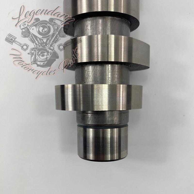 Camshaft OEM 25400190