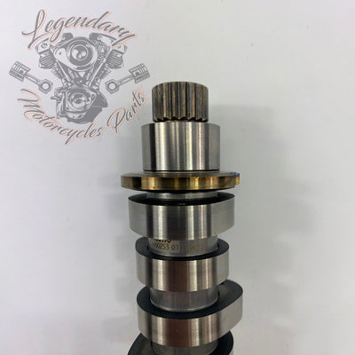 Camshaft OEM 25400190