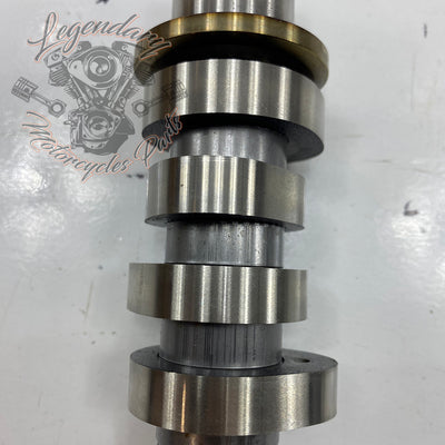 Camshaft OEM 25400190