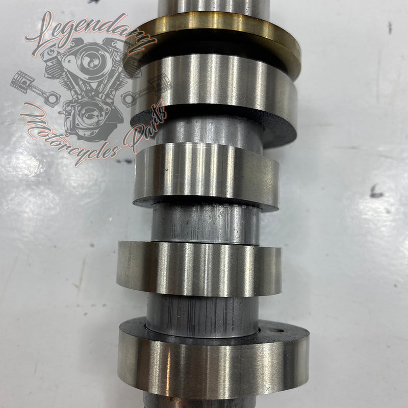 Camshaft OEM 25400190