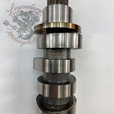 Nockenwelle OEM 25400190