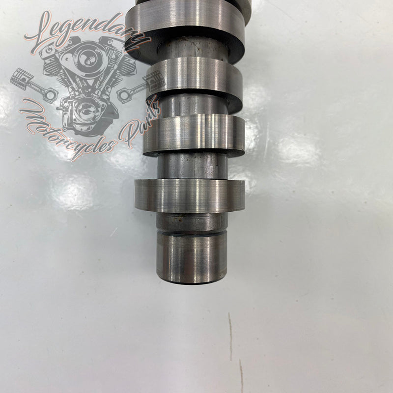 Camshaft OEM 25400190