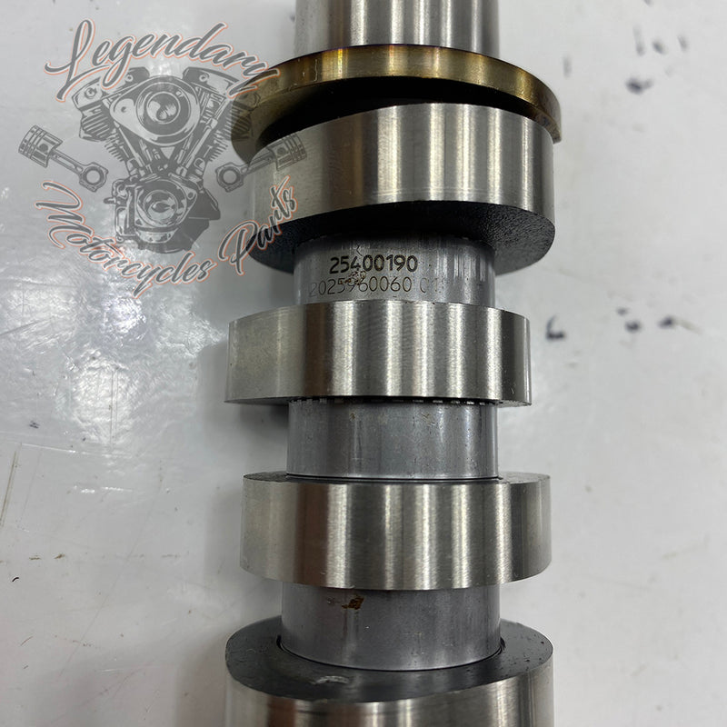 Camshaft OEM 25400190