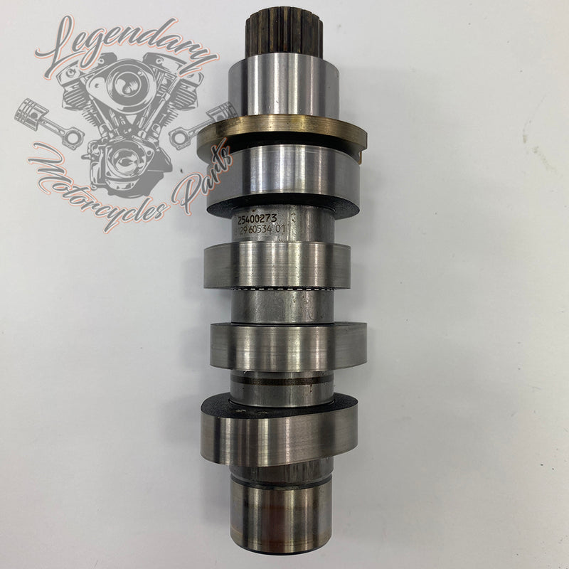 Camshaft OEM 25400273