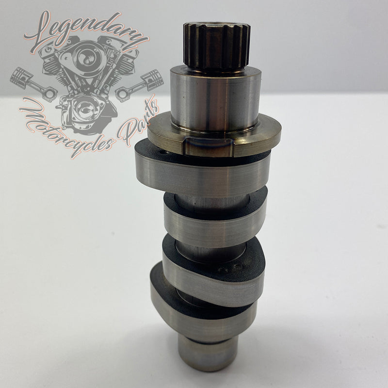 Camshaft OEM 25400273