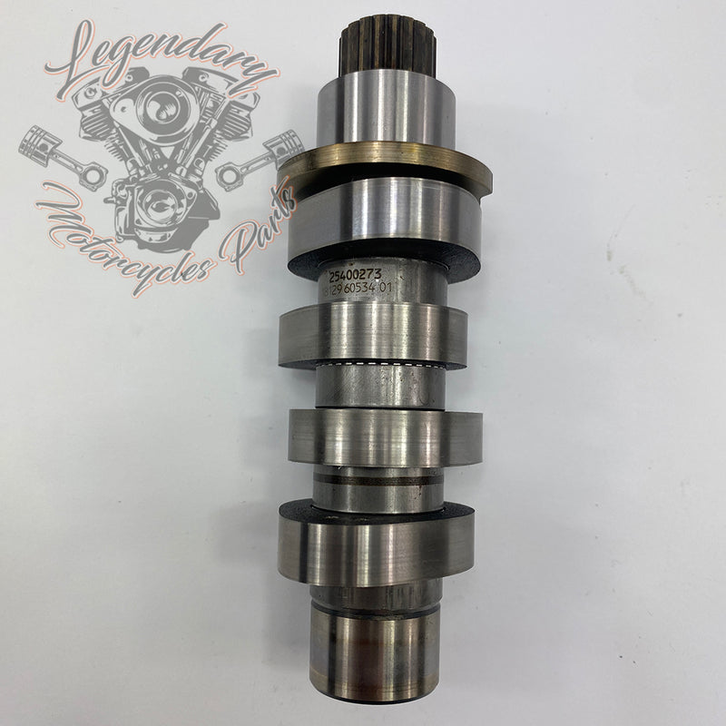 Camshaft OEM 25400273