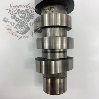 Camshaft OEM 25400273