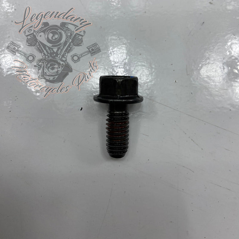 Timing Pulley and Chain OEM 25675-06