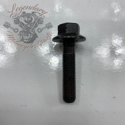 Timing Pulley and Chain OEM 25675-06