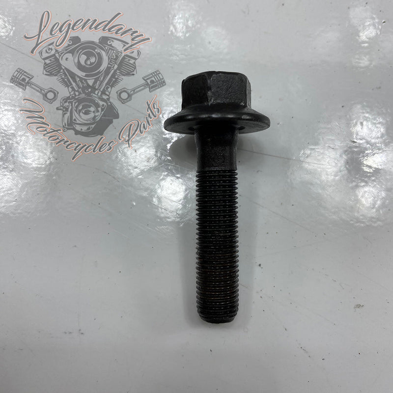 Timing Pulley and Chain OEM 25675-06