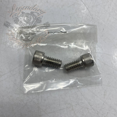 HDMC Primärdeckel-Einsatz OEM 25700806