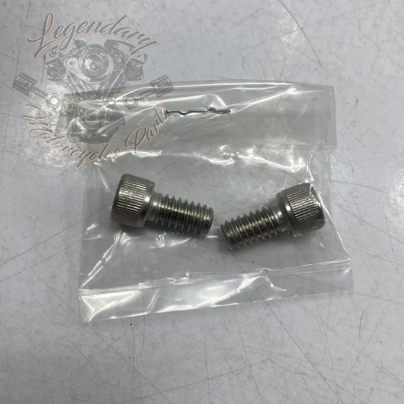 HDMC Primärdeckel-Einsatz OEM 25700806