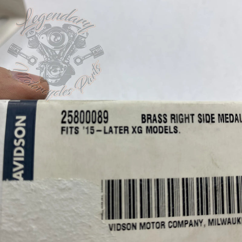 Médaillon de carter primaire Brass OEM 25800089