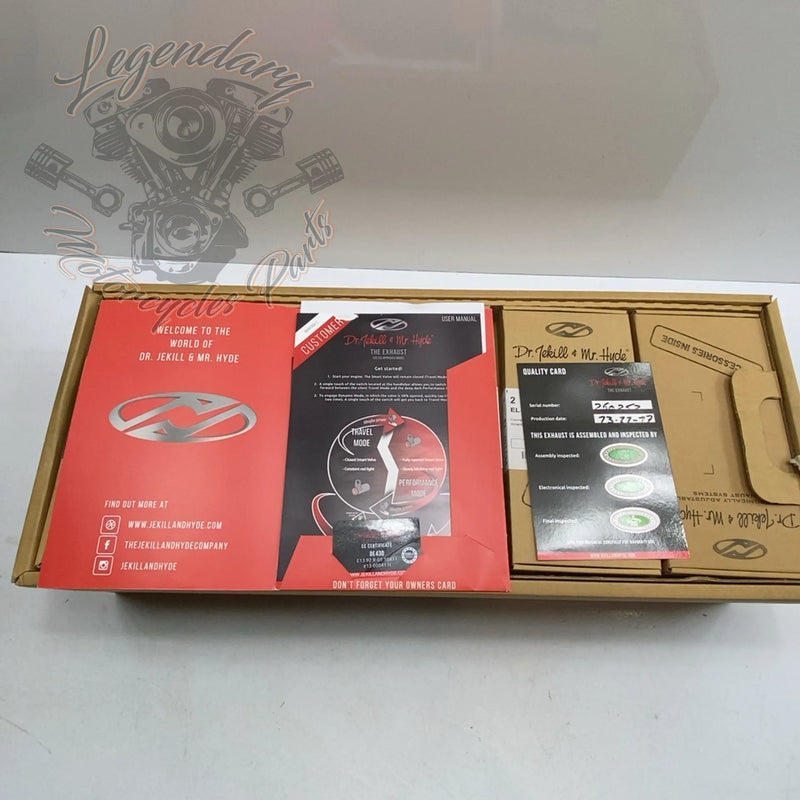 Valve Muffler OEM 260252