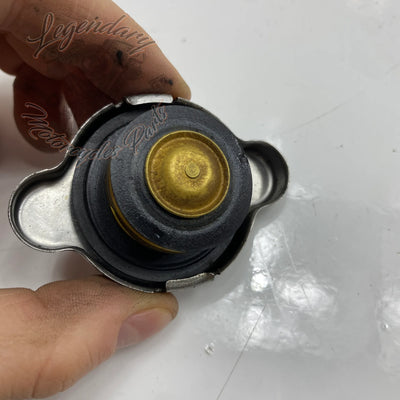 Kühlerdeckel OEM 26733-01