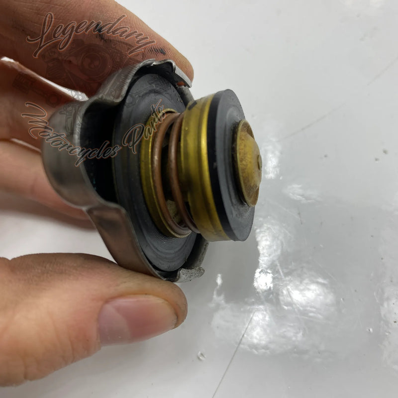 Kühlerdeckel OEM 26733-01