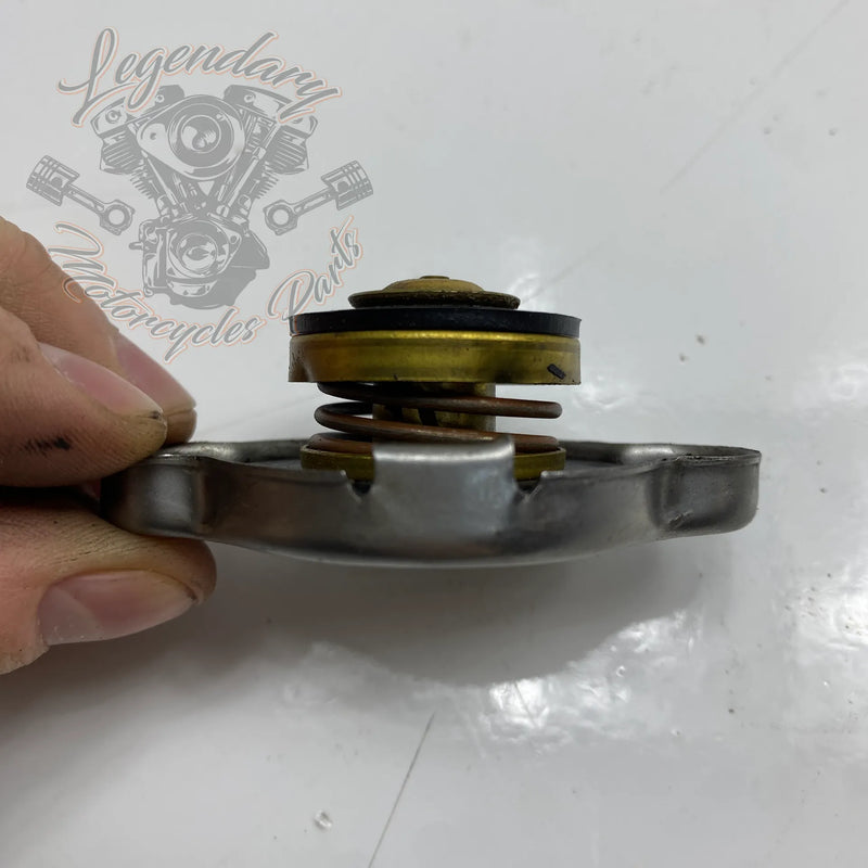 Kühlerdeckel OEM 26733-01