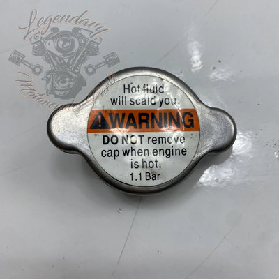 Kühlerdeckel OEM 26733-01