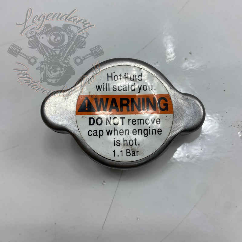 Kühlerdeckel OEM 26733-01