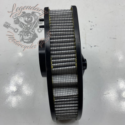 OEM Air Filter 29000116 (29000121)