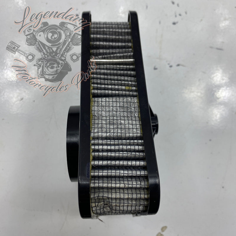 OEM Air Filter 29000116 (29000121)