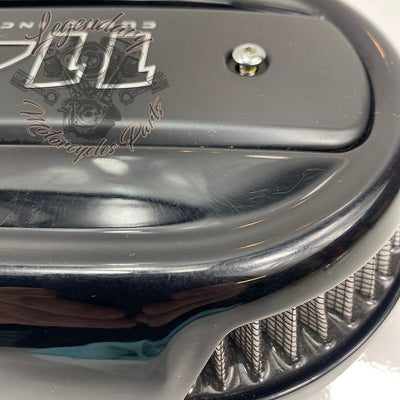 Filtr powietrza OEM 29000148