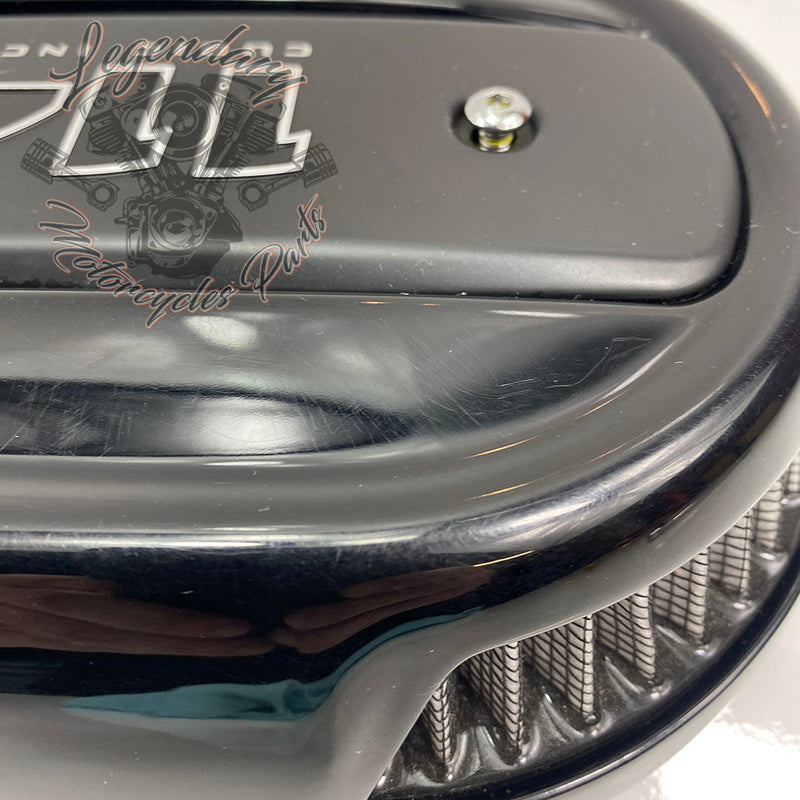 Filtr powietrza OEM 29000148